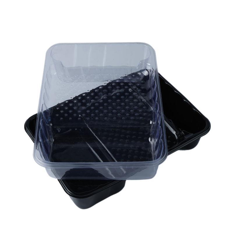 Paint Tray 
