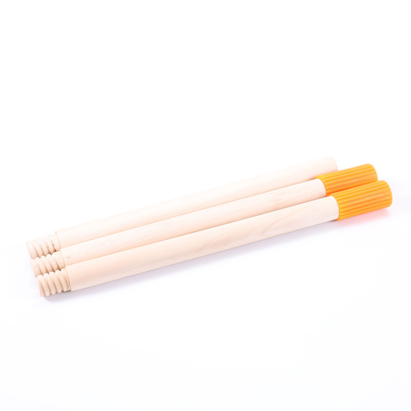 Extension Pole 